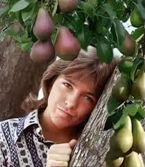 Black Hawk Elementary Christmas program 1981