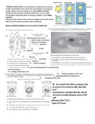10000+ results for 'biology staar eoc review'. Texas Biology Staar Review Packet With Examples And Practice Questions