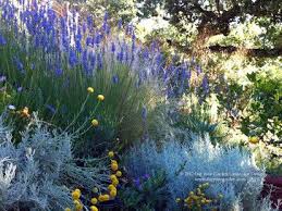 Pin On Landscaping Design