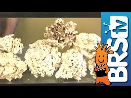 In the end, though, your patience and time will pay off and your tank will be happier and healthier with the addition of a porous, saltwater friendly rock that provides a home for invertebrates and beneficial bacteria. Curing Live Rock For Saltwater Aquariums Bulk Reef Supply