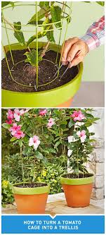 Despite being made to keep the cattle in a designated area, they are surprisingly good at providing plants with vertical support. Diy Projects And Ideas Tomato Cages Easy Garden Ideas Landscaping Flower Pots