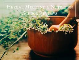 Certified clinical master herbalist (ccmh)™. Herbal Medicine Nutrition Schools Reviews From Students Teachers And Founders Ginger Tonic Botanicals