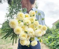 This is 18% of total 83 shops listed in duluth. Ayearinflowers Week 32 Floret Flowers