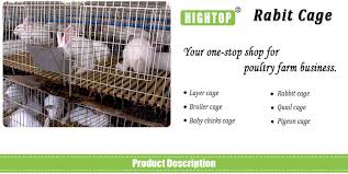 Check spelling or type a new query. Commercial Rabbit Cages For Rabbit Farming