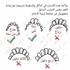 Shopbop مصمم علامات الأزياء التجارية. Ù…Ù…Ù„ÙƒØ© Ø§Ù„Ù…Ø§Ø¹Ø² ÙˆØ§Ù„Ø£ØºÙ†Ø§Ù… Posts Facebook