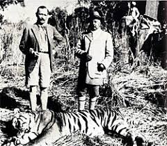 Tiger hunting - Wikipedia