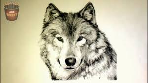 I'm an artist living in iowa, creating hyperrealistic animal artwork. 7 Cute And Realistic Animals Drawings Youtube