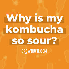 Kombucha Too Vinegary How To Prevent Fix Sour Kombucha Brew Buch