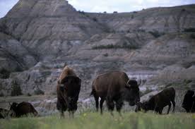 Check spelling or type a new query. North Dakota Travel Guide Expert Picks For Your Vacation Fodor S Travel