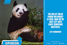 Image result for Pandiaka confusa