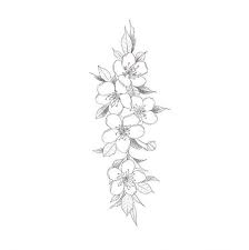 Cherry Blossom Tattoos For Girls Best Cherry Blossom Tattoo Images Blossom Tattoo Cherry Blossom Tattoo Flower Tattoo Drawings