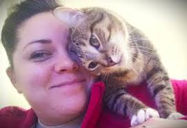 Loss of a beloved cat and condolences from cat lovers