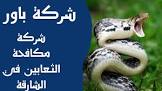 مؤسسة بور مكافحة