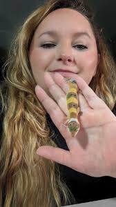 What is the safest moss for moist hide storage?