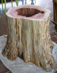 Repurposed For Life From Cedar Stump To Coffee Table Stump Table Cedar Wood Projects Log Coffee Table