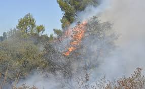 Il reste 159 jours avant la fin de l'année. Site Officiel De La Ville De Frejus Site Officiel De La Ville De Frejus Site Officiel Presentant La Ville Son Patrimoine La Vie Economique Et Sociale L Environnement Et Le Tourisme