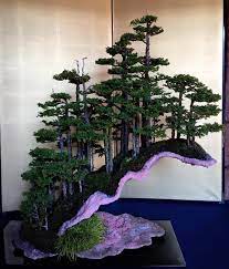 Bonsai Empire Forest Or Rock Style You Decide Photo Taken At Bonsai Forest Bonsai Tree Bonsai Tree Types