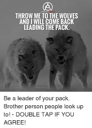Looks like the laughing wolves meme are here to stay, will be interesting to see how popular this share this image. 19 Hilarious Wolves Meme That You Never Seen Before Memesboy