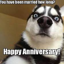 Happy anniversary meme for wife posted in anniversary cards, anniversary memes, anniversary status, anniversary wishes. 20 Funny Anniversary Memes For Wife Happy Anniversary Funny Funny Anniversary Wishes Anniversary Funny