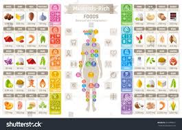 Mineral Vitamin Supplement Food Icons Healthy Eating Flat