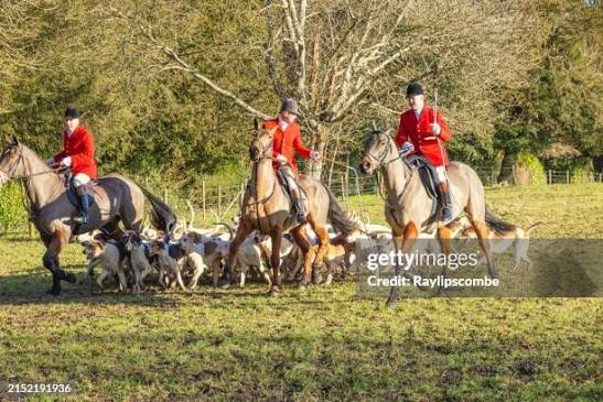 32,552 British Hunting Stock Photos, High-Res Pictures, and Images - Getty Images