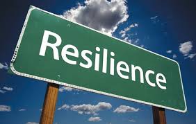 Da una Resilienza reattiva a una Resilienza "Adattiva" - CYBERSECURITY &  RISK MANAGEMENT PROGRAM