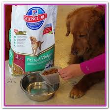 Pin On Best Dog Food