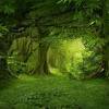 See more ideas about mural, mural painting, wall murals. 1