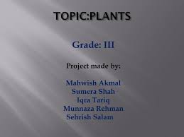 Moonson report by sehrish tariq. Ppt Roots School System Powerpoint Presentation Free Download Id 2833529