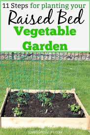 Stakes are another way to help plants stand tall and help tomatoes successfully grow. Learn How To Grow Vegetables In A Raised Bed Garden Raised Bed Gardening Is Perfect For T Vegetable Garden Raised Beds Tips For Growing Tomatoes Tomato Garden