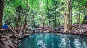 How can i contact oyo 75305 t park pak chong? Pak Chong Spring A Lesser Known Gift Of Nature