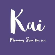 Kai Hawaiian Baby Baby Girl Names Cute Baby Names