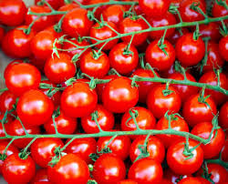 Organic Farming In Jharkhand How To Start