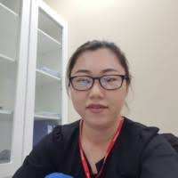 Diep Le Hong Email & Phone Number