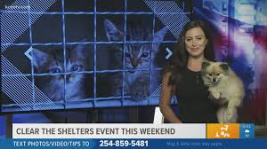 Family friendly events this weekend near me. Clear The Shelters Pet Adoption Drive Ends This Weekend Kcentv Com