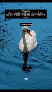 नीतिवचन 28:13, जो अपने अपराध छिपा रखता है, उसका कार्य सुफल नहीं होता,  परन्तु जो उन को मान लेता और छोड़ भी देता है, उस पर दया की जायेगी।, Amen.  #pricelesslovechrist #ankurnarulaministries #fatherslove ...