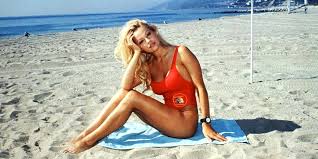 1989 971 members 11 seasons243 episodes. Pamela Anderson Baywatch Movie Pamela Anderson And Dwayne Johnson Baywatch Movie Remake