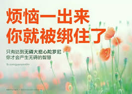 烦恼一出来 你就被绑住了 只有达到无碍大悲心陀罗尼 你才会产生无碍的智慧 无碍的智慧就是没有阻碍的智慧 那才是真正的智慧 你动出来的脑筋有阻碍 那你就不是无碍大悲心陀罗尼 你今天对慈悲两个字彻底地理解了 你就是对慈悲没有任何的罣碍 不管我今天慈悲的是