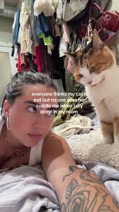 Crying around My Nonchalant Cats