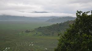 Paysage du rwanda (région de gitarama). Lest We Forget Rwanda 22 Years On Concern Worldwide