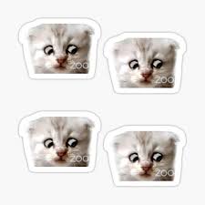 Share the best gifs now >>>. Funny Cat Lawyer Meme Gifts Merchandise Redbubble