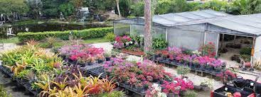 Find and research local psychiatry specialists in west palm beach, fl. A One Stop Garden Shop Offering Plants Trees Sod Cactus Succulents Mulch Rock And More