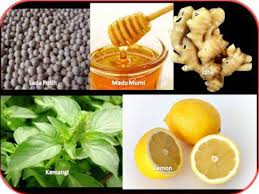 Cara menghilangkan batuk secara herbal. Radio Bragi Fm 5 Obat Batuk Tradisional Cara Ampuh Menyembuhkan Batuk Secara Alami
