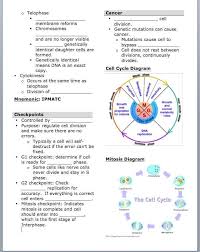 For every crossover between the two loci, two of the four products of meiosis will be recombinant. Cell Division And Mitosis Worksheet Answer Key And Worksheets 42 Re Mendations The Cell Cycle Worksheet High Cell Cycle Mitosis Meiosis