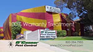 Our exterminators in santa barbara ca are committed to eliminate your ants and termite issues. O Connor Pest Control Home Facebook