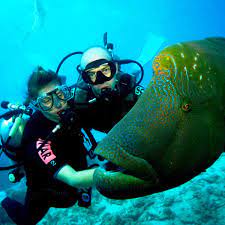 Find the perfect fit and style. How To Do A Scuba Diving Weight Check Blue Season Bali