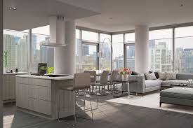 Maybe you would like to learn more about one of these? River North Luxury Apartments Downtown Apartment Company