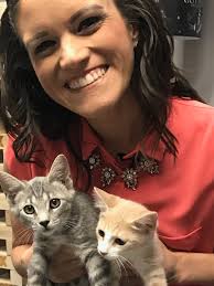 Tuesday Tails: Kitten siblings Liza & Ray and find out about 'Kitten  Palooza'