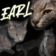 This week went by so fast but so slow at the same time