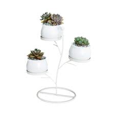 Small ceramic owl pots cute bonsai succulents pot flower plant planter garden. Promotion Plant Pot Succulent Plants Iron Frame Set Innovative Geometric Branches Small Round Ceramic Flower Pot Plant Stand Wh Flower Pots Planters Aliexpress